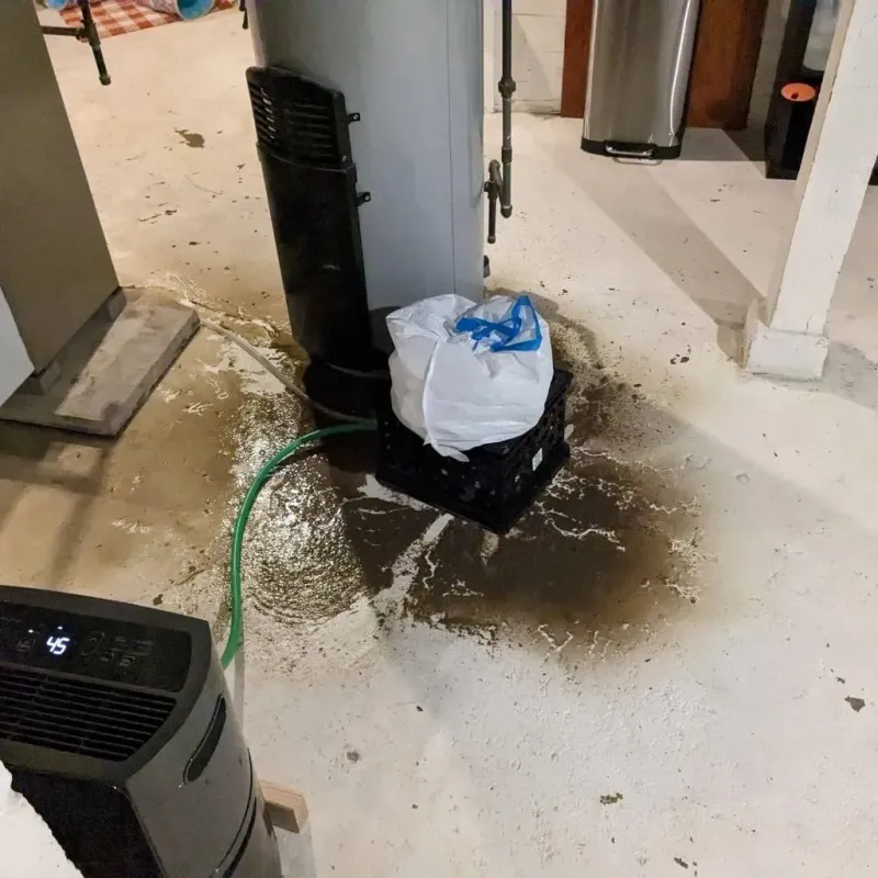 Sewage Backup Cleanup Service in Stryker, OH